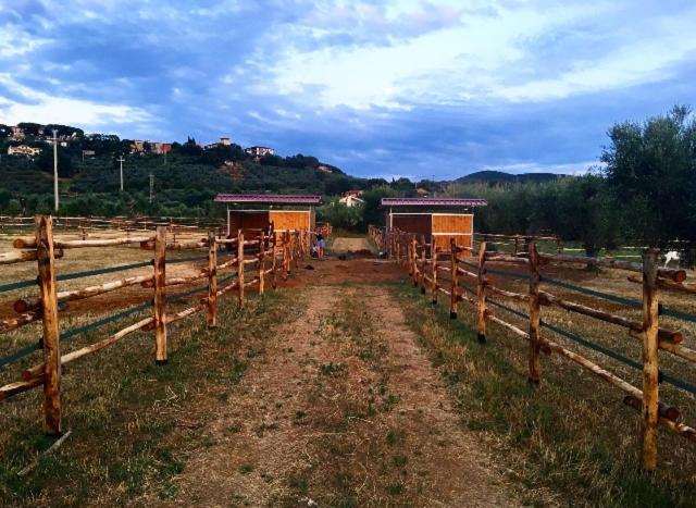 Agriturismo Quattro Pini Castagneto Carducci Exterior foto